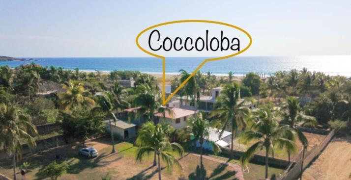 Coccoloba Guest House Puerto Escondido  Zewnętrze zdjęcie
